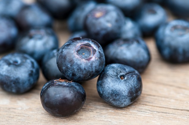 Blueberry