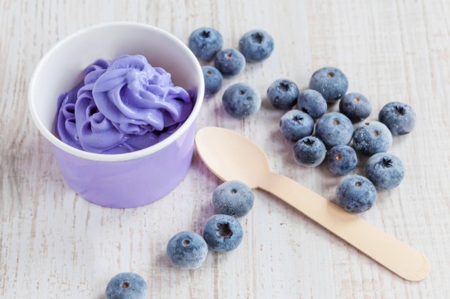 Camilan Sehat - Blueberry Coconut Balls