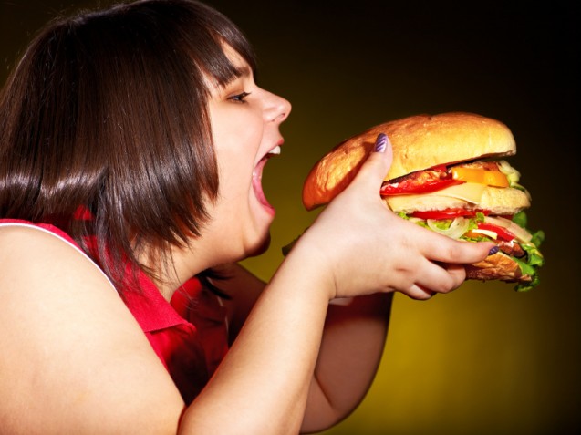 Burger keju