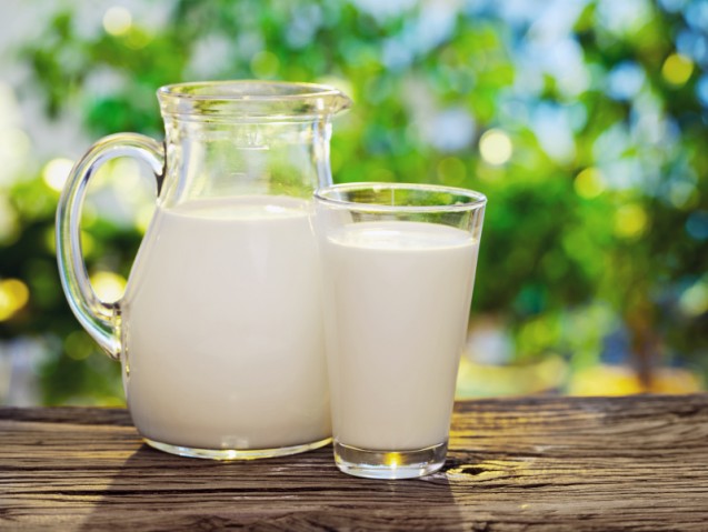 Campuran susu