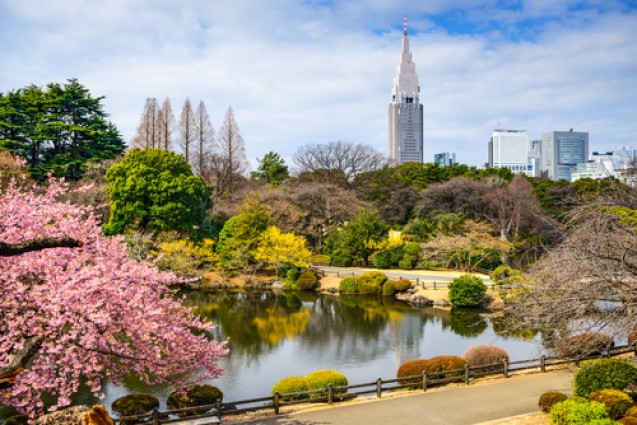 Shinjuku Gyoen, Tokyo