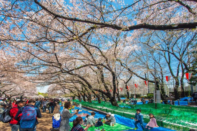 Ueno Park, Tokyo