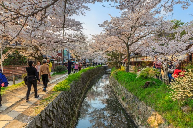 Philosophy's Path, Kyoto