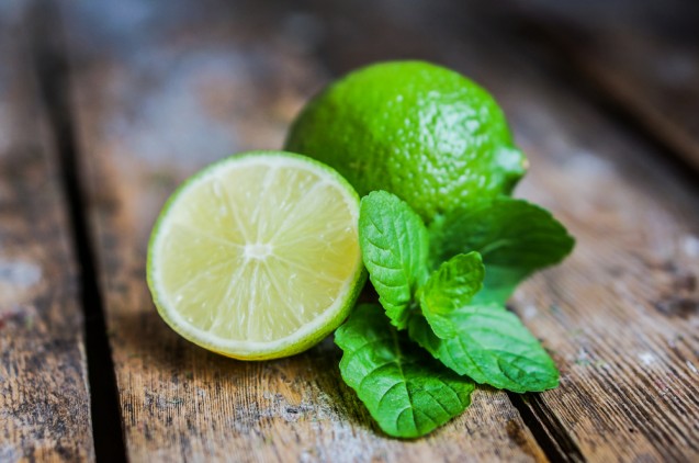 Lemon dan jeruk nipis