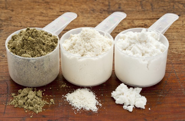 Protein nabati