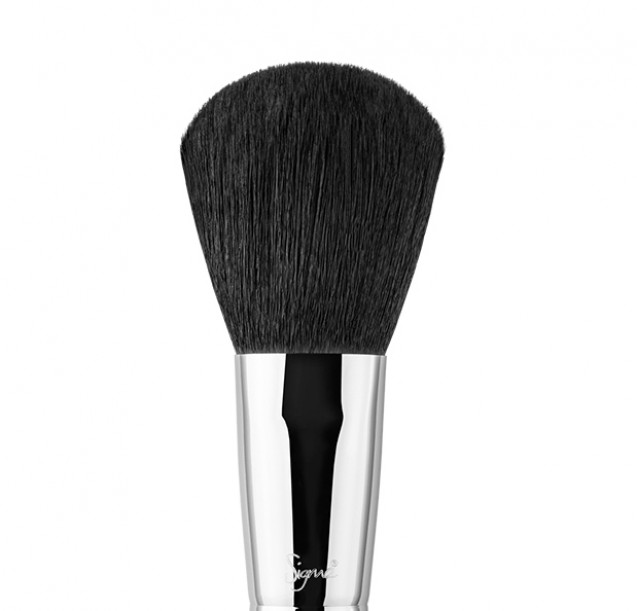 Powder brush