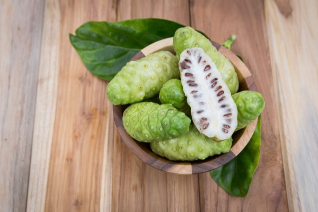 Buah mengkudu