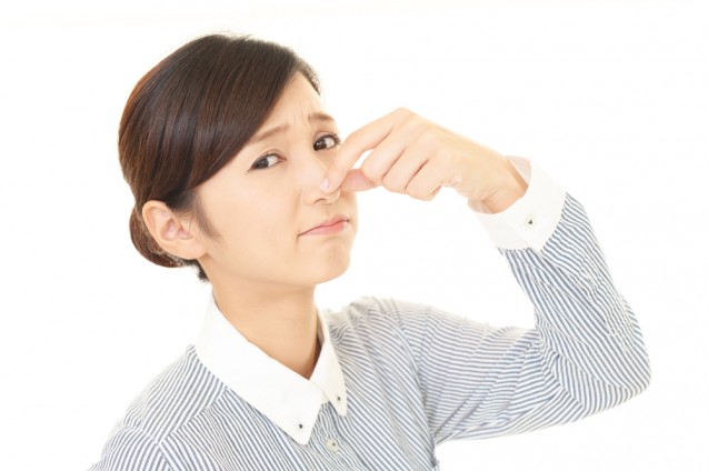 Komedo