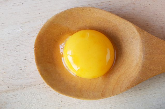 Telur