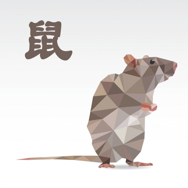 Tikus