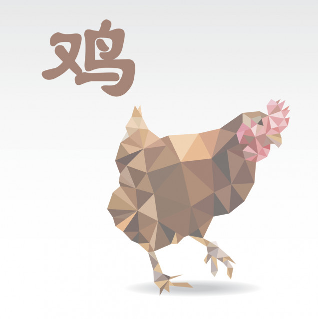 Ayam