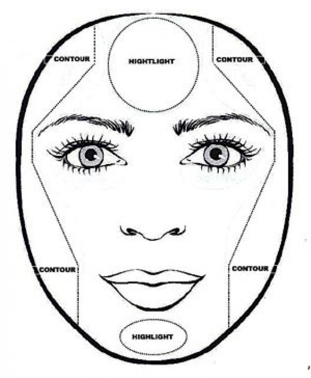 Contour pelipis