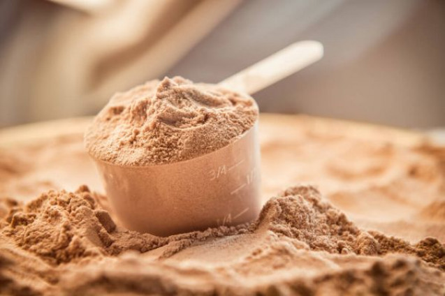 Protein powder