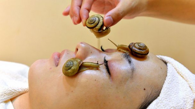Facial siput