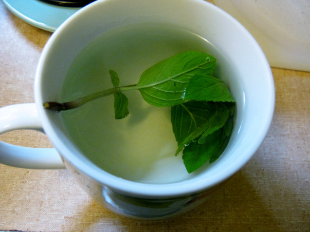 Spearmint tea