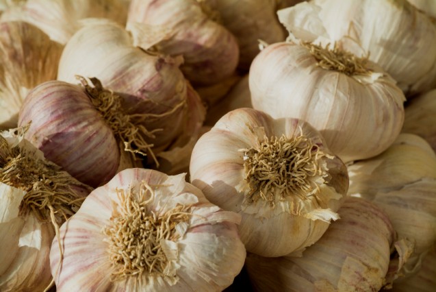 Bawang putih