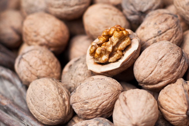 Walnut
