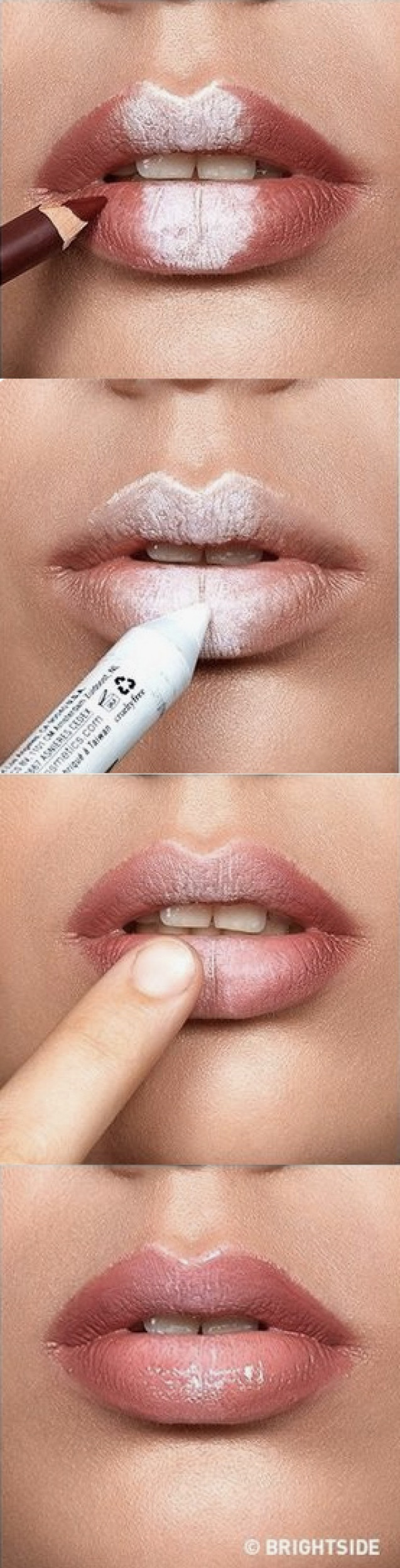 Bibir tebal