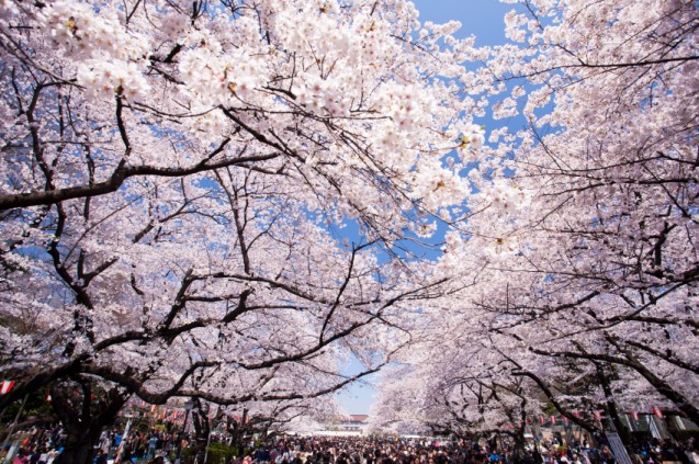 Ueon Park