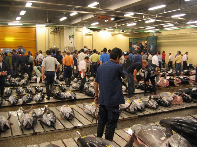 Tsukiji Fish Market, Tokyo